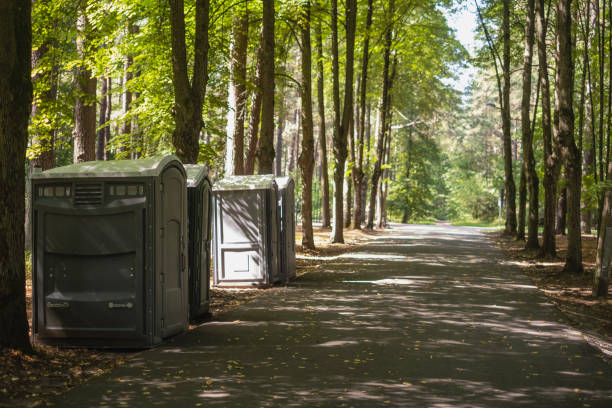 Porta potty rental for festivals in Chisholm, MN